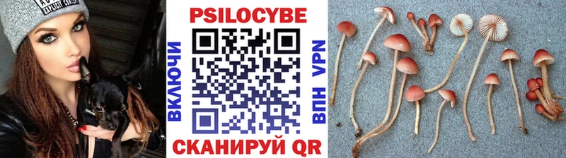 купить   Шелехов  Псилоцибиновые грибы мицелий 
